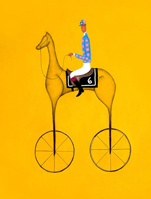blueAndPinkJockey